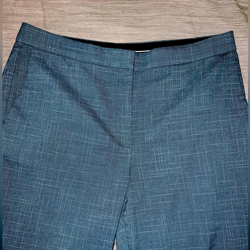 Anne Taylor Curvy pants // Size 14